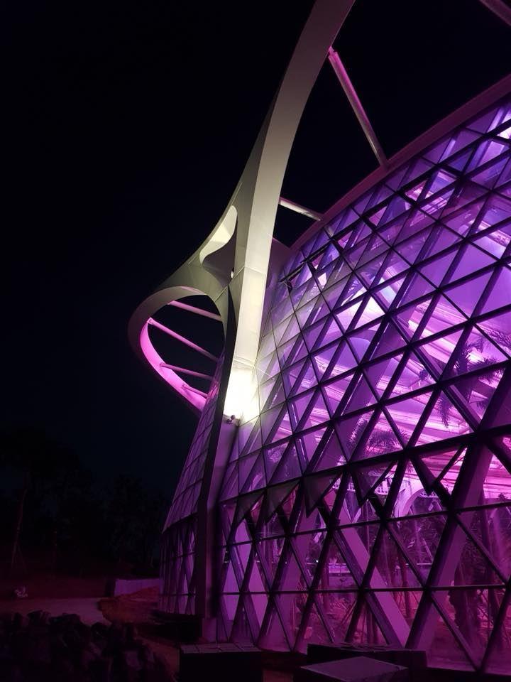 korea, seoul, travel, trip, backpack, botanic garden, wetland, park, nature, green, ecology, greenhouse